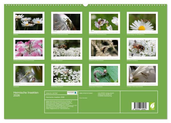 Produktbild: Heimische Insekten 2026 (hochwertiger Premium Wandkalender 2026 DIN A2 quer), Kunstdruck in Hochglanz