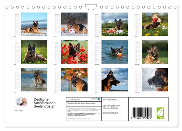 Produktbild: Deutsche Sch&auml;ferhunde Seelentr&ouml;ster (Wandkalender 2026 DIN A4 quer), CALVENDO Monatskalender