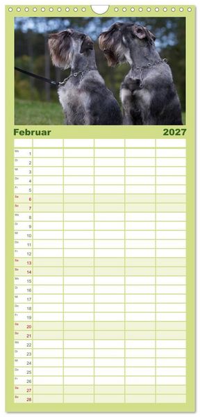 Produktbild: Familienplaner 2027 - Schnauzer... von Zwergen und Riesen 2027 mit 5 Spalten (Wandkalender, 21 x 45 cm) CALVENDO