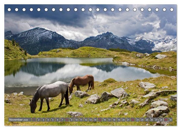 Produktbild: Wir sind die Stars auf der Alm (Tischkalender 2026 DIN A5 quer), CALVENDO Monatskalender