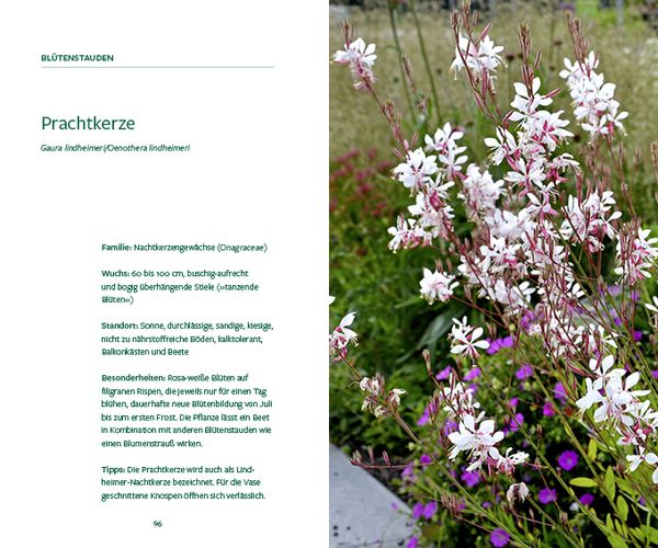Produktbild: G&auml;rtnern im Wandel