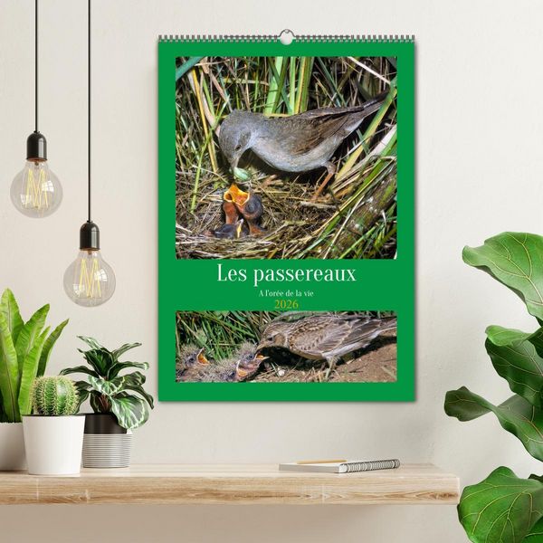 Produktbild: Les passereaux &agrave; l'or&eacute;e de la vie (Calendrier mural 2026 DIN A2 horizontal), CALVENDO calendrier mensuel