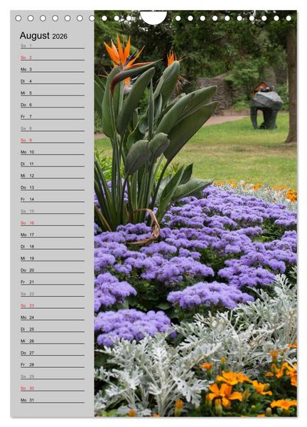 Produktbild: Traumhaftes Siegerland 2026 (Wandkalender 2026 DIN A4 hoch), CALVENDO Monatskalender