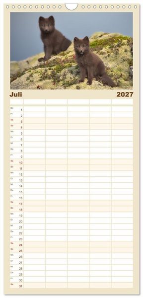 Produktbild: Familienplaner 2027 - Polarfuchs-Welpen mit 5 Spalten (Wandkalender, 21 x 45 cm) CALVENDO
