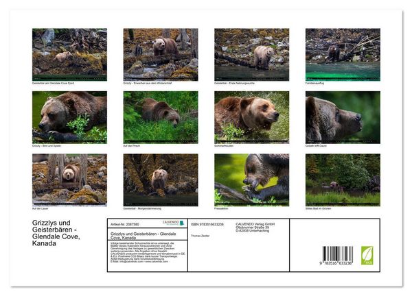 Produktbild: Grizzlys und Geisterb&auml;ren - Glendale Cove, Kanada (hochwertiger Premium Wandkalender 2026 DIN A2 quer), Kunstdruck in Hochglanz