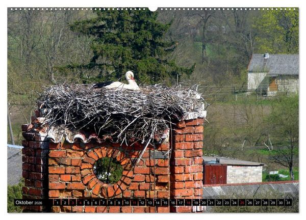 Produktbild: Im Paradies der St&ouml;rche - Dorfkirchen als Storchkirchen in Ostpreu&szlig;en (hochwertiger Premium Wandkalender 2026 DIN A2 quer), Kunstdruck in Hochglanz