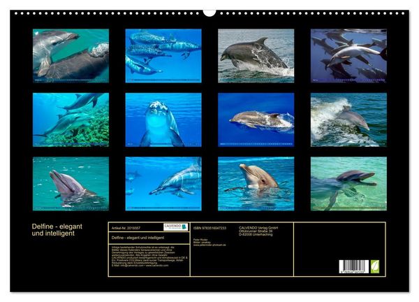 Produktbild: Delfine - elegant und intelligent (Wandkalender 2026 DIN A2 quer), CALVENDO Monatskalender