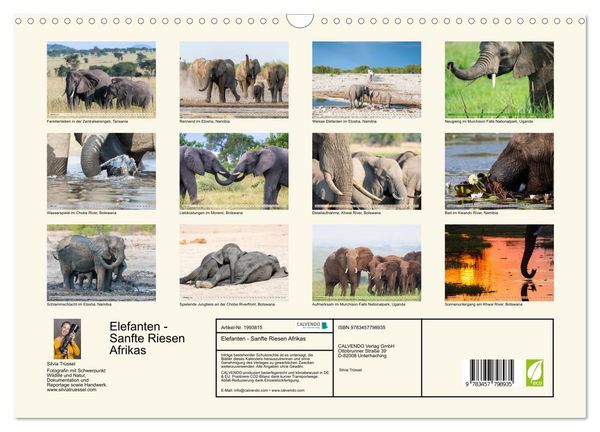 Produktbild: Elefanten - Sanfte Riesen Afrikas (Wandkalender 2026 DIN A3 quer), CALVENDO Monatskalender