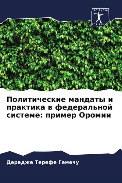 Produktbild: Politicheskie mandaty i praktika w federal'noj sisteme: primer Oromii