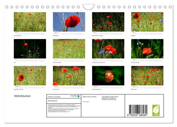 Produktbild: Mohnblumen (Wandkalender 2026 DIN A4 quer), CALVENDO Monatskalender