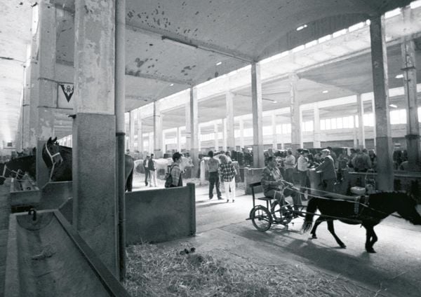 Produktbild: Der Pferdemarkt M&uuml;nchen