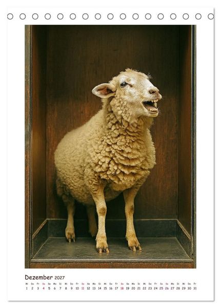 Produktbild: Wer f&auml;hrt denn da? Ein tierisches Paternoster Vergn&uuml;gen (Tischkalender 2027 DIN A5 hoch), CALVENDO Monatskalender