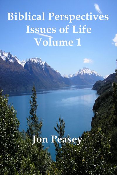 Produktbild: Biblical Perspectives - Issues of Life Volume 1