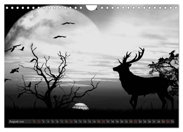 Produktbild: Sonne und Mond - faszinierend und anziehend (Wandkalender 2026 DIN A4 quer), CALVENDO Monatskalender