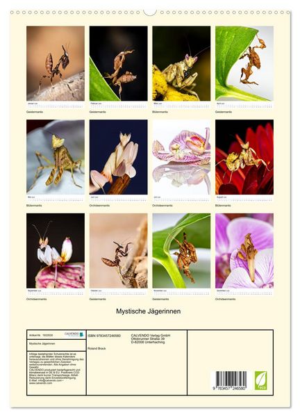 Produktbild: Mystische J&auml;gerinnen (hochwertiger Premium Wandkalender 2026 DIN A2 hoch), Kunstdruck in Hochglanz
