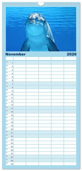 Produktbild: Familienplaner 2026 - Delfine - L&auml;chelnde Intelligenz mit 5 Spalten (Wandkalender, 21 x 45 cm) CALVENDO