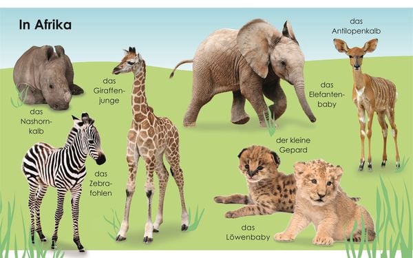 Produktbild: Erstes Lernen mini. Tierkinder