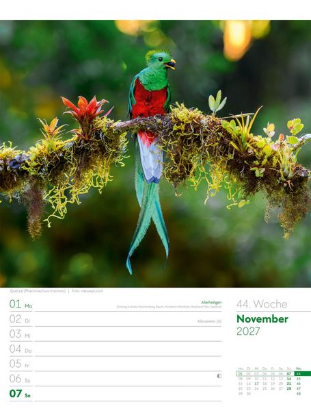 Produktbild: V&ouml;gel Wochenplaner Kalender 2027