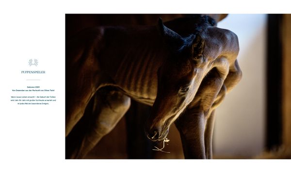 Produktbild: Trakehner Gest&uuml;t Murtal