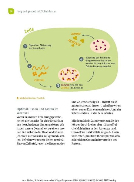 Produktbild: Scheinfasten - das 5-Tage-Programm