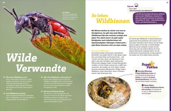 Produktbild: WAS IST WAS Bienen. Summende Genies