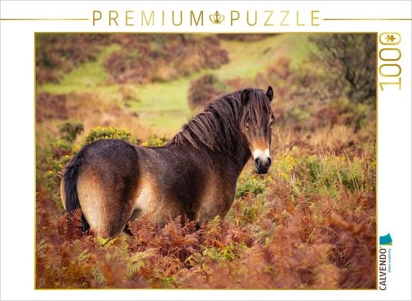 CALVENDO Puzzle Pony im Farbenrausch | 1000 Teile Lege-Größe 64x48cm Foto-Puzzle für glückliche Stunden