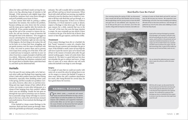 Produktbild: Essential Guide to Calving