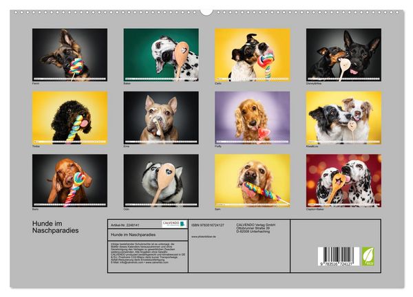 Produktbild: Hunde im Naschparadies (hochwertiger Premium Wandkalender 2026 DIN A2 quer), Kunstdruck in Hochglanz