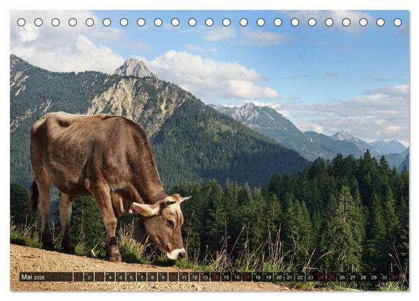 Produktbild: Ein Jahr im Allg&auml;u (Tischkalender 2026 DIN A5 quer), CALVENDO Monatskalender