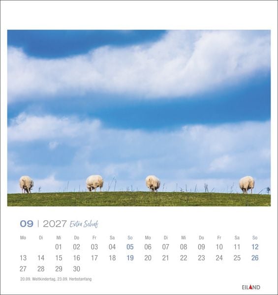 Produktbild: Extra Schaf Postkartenkalender 2027