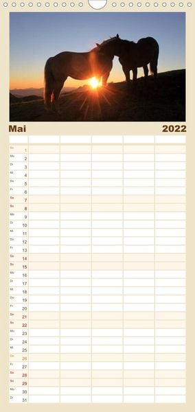 Produktbild: Familienplaner Pferde und Ponys im Paradies (Wandkalender 2022 , 21 cm x 45 cm, hoch)