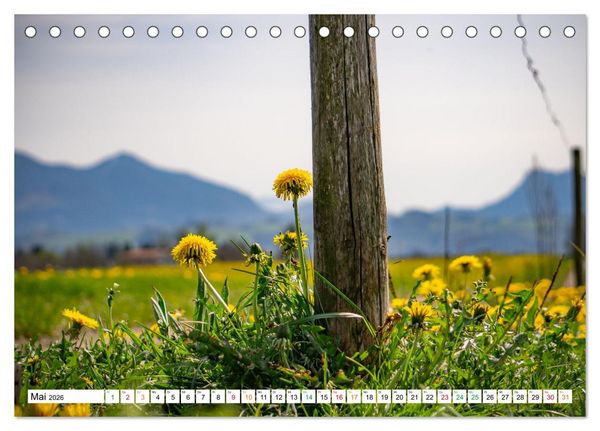 Produktbild: Natur hautnah Kalender (Tischkalender 2026 DIN A5 quer), CALVENDO Monatskalender