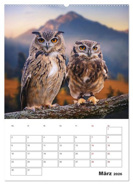Produktbild: Eulen und K&auml;uze - Diese Wesen der Nacht (Wandkalender 2026 DIN A2 hoch), CALVENDO Monatskalender