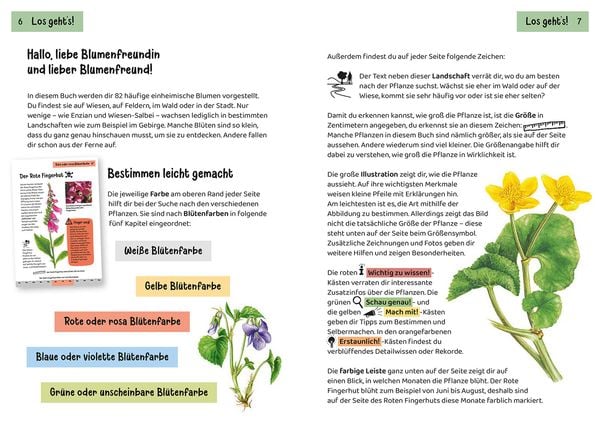 Produktbild: Was bl&uuml;ht denn da? Kindernaturf&uuml;hrer