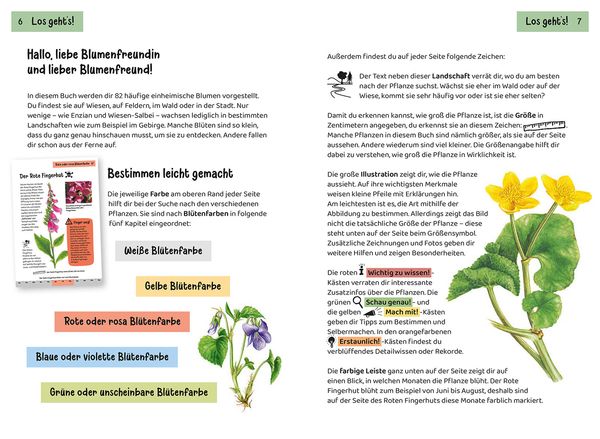 Produktbild: Was bl&uuml;ht denn da? Kindernaturf&uuml;hrer