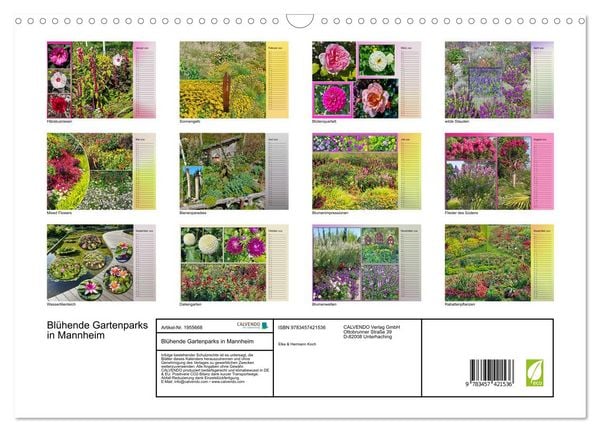 Produktbild: Bl&uuml;hende Gartenparks in Mannheim (Wandkalender 2026 DIN A3 quer), CALVENDO Monatskalender