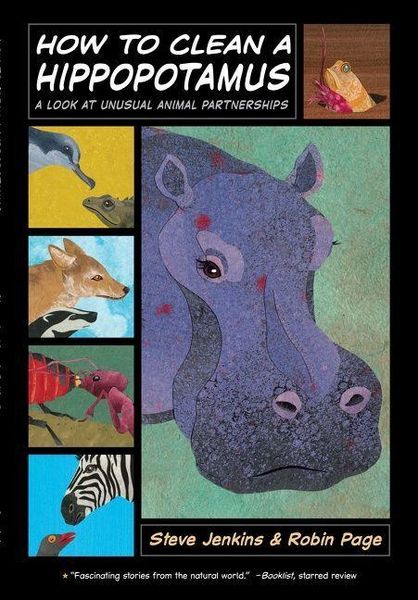 Produktbild: How to Clean a Hippopotamus