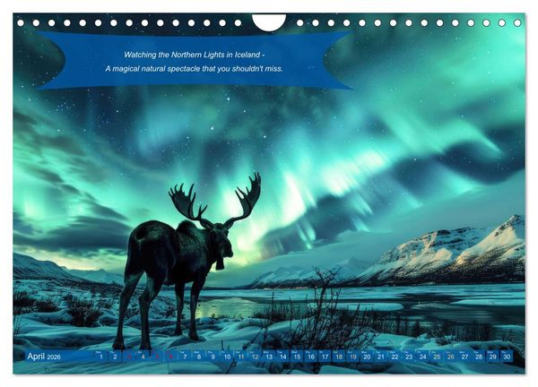Produktbild: Crazy ideas for adventure enthusiasts (Wall Calendar 2026 DIN A4 landscape), CALVENDO 12 Month Wall Calendar