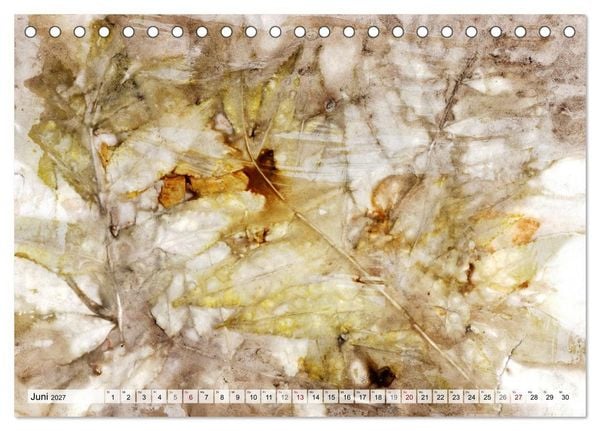 Produktbild: Botanical Printing - Magische Pflanzendrucke (Tischkalender 2027 DIN A5 quer), CALVENDO Monatskalender