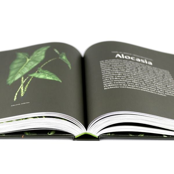 Produktbild: Plantopedia