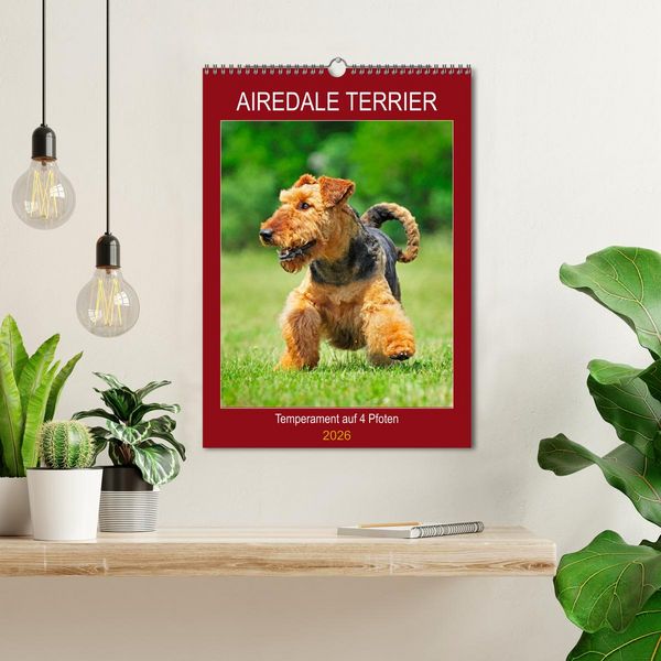 Produktbild: Airedale Terrier - Temperament auf 4 Pfoten (Wandkalender 2026 DIN A3 hoch), CALVENDO Monatskalender
