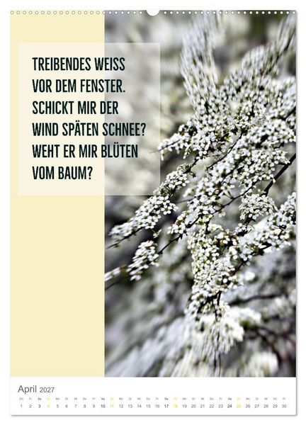 Produktbild: Tagesfarben - Poesie in Wort und Bild (Wandkalender 2027 DIN A2 hoch), CALVENDO Monatskalender