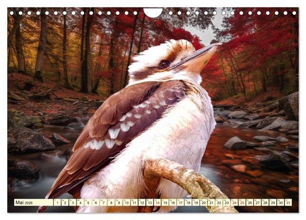 Produktbild: Australiens faszinierende Fauna (Wandkalender 2026 DIN A4 quer), CALVENDO Monatskalender