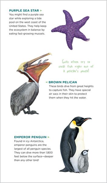 Produktbild: Watery World of Tattoo Ocean Animals