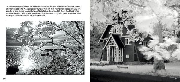 Produktbild: Nackt zwischen Dornen
