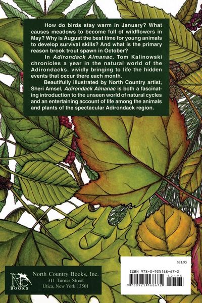Produktbild: Adirondack Almanac