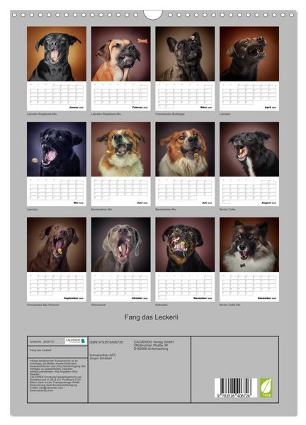 Produktbild: Fang das Leckerli (Wandkalender 2026 DIN A3 hoch), CALVENDO Monatskalender