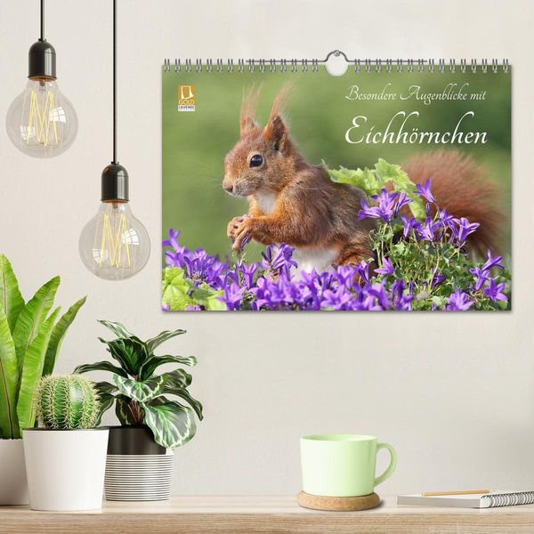 Produktbild: Besondere Augenblicke mit Eichh&ouml;rnchen (Wandkalender 2026 DIN A4 quer), CALVENDO Monatskalender