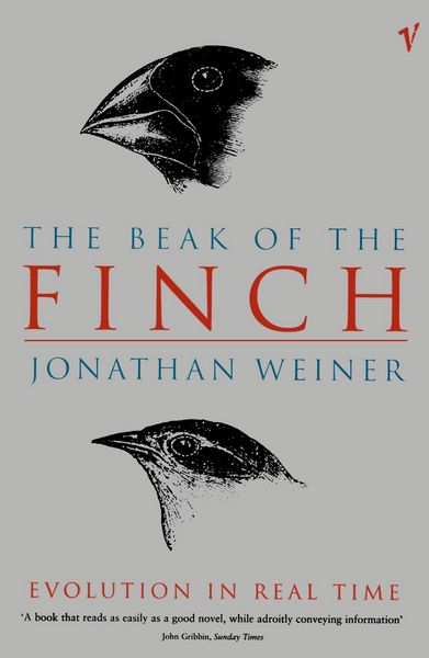 Produktbild: The Beak Of The Finch
