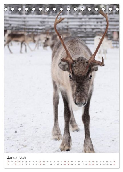 Produktbild: Winter in Lappland - Bezaubernde Sch&ouml;nheit (Tischkalender 2026 DIN A5 hoch), CALVENDO Monatskalender